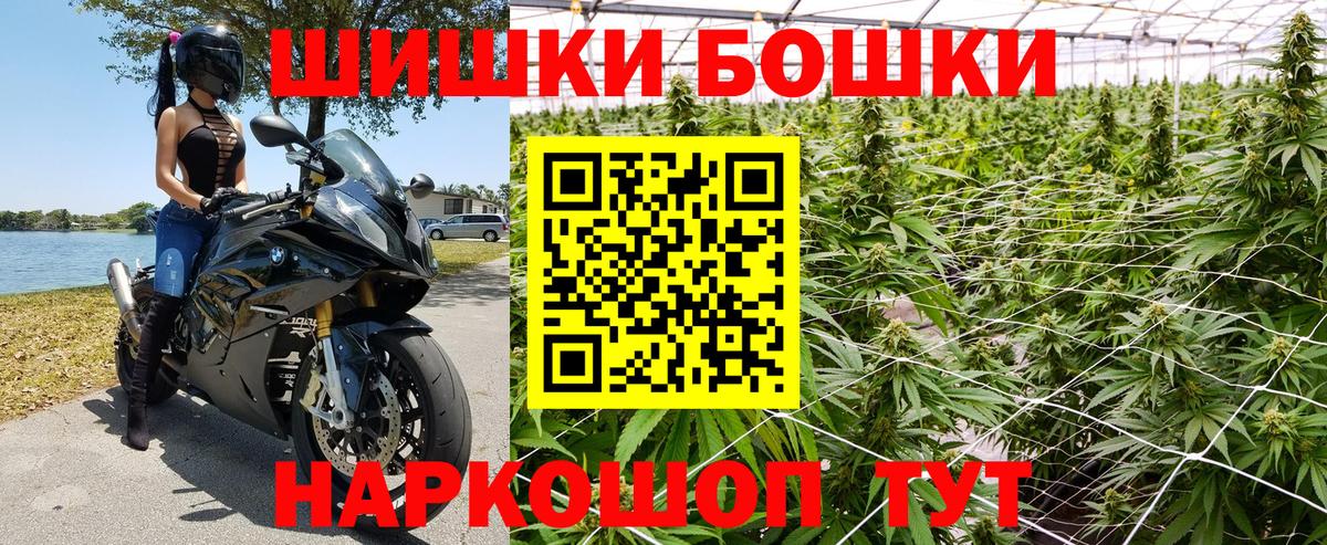 Галлюциногенные грибы Отрадный